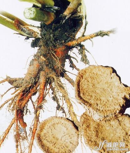 ?Dò??ì?ù??·êê3?×1?üêY10??