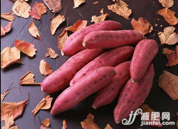 早餐排毒讓你無毒一身"輕"