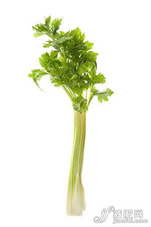 點(diǎn)擊圖片進(jìn)入第一頁(yè)