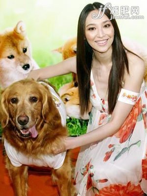 游泳 人狗搭配 減肥不累