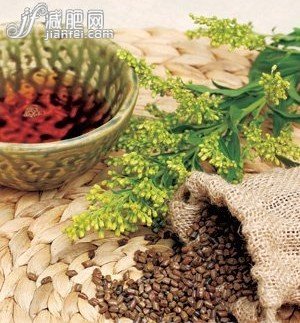 混搭美肌瘦身茶 美由內(nèi)而外