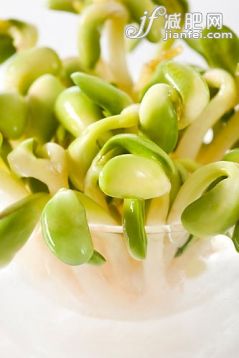 豆芽,蔬菜,食品,飲食,食品飲料_b0e07f09c_新鮮豆芽_創(chuàng)意圖片_Getty Images China