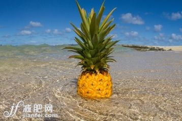 食品,自然,戶外,田園風光,站_558963339_Pineapple standing in shallow sea_創(chuàng)意圖片_Getty Images China 食品,自然,戶外,田園風光,站_558963339_Pineapple standing in shallow sea_創(chuàng)意圖片_Getty Images China