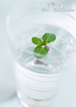 寒冷,飲食,園藝器具,飲料,食品_122695139_Mint Water_創(chuàng)意圖片_Getty Images China