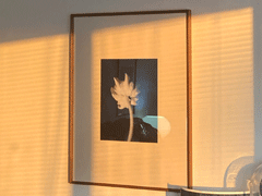 老舍先生通透走心的句子 越不肯努力便越自憐