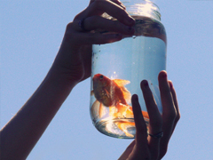 充滿正能量的英文句子帶翻譯 抖音最火勵志英文句子合集