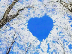 公務(wù)員發(fā)公文寫作首段佳句大全 寫作常用詞句大全