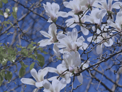 2021四月第一天早安勵(lì)志說(shuō)說(shuō) 四月早安勵(lì)志語(yǔ)錄