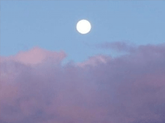 心寒的說說戳心失望 真心感到疲憊的說說配圖