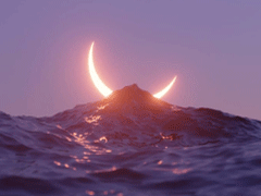 適合曬結婚證的有趣文案帶圖片 持證上崗未來共同富裕