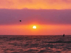 2021有關(guān)于日落的超級溫柔的朋友圈文案 看日落發(fā)朋友圈的唯美說說