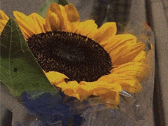 30件變優(yōu)秀提升幸福感的事情 帶給我們幸福感