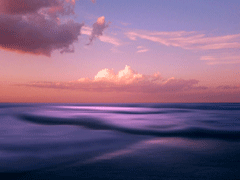 教會(huì)你人際交往中的道理 切勿交淺言深