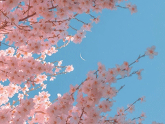 2021很走心的干凈短句 朋友圈高質(zhì)量吸引人的短句