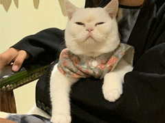 情侶公布戀情的高端的文案 有趣的朋友圈秀恩愛文案