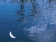 15句驚艷朋友圈的唯美短句 山中若有眠枕的是月