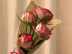 七夕微信示愛表白密碼 情人節(jié)微信翻譯的表白情話