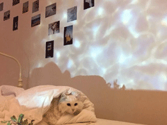 關(guān)于人生哲理30條句子 不要跟眼界不一樣的人爭辯