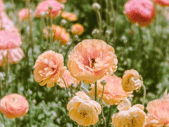 一句話哲理句子人生感悟 人生沒有白走的路