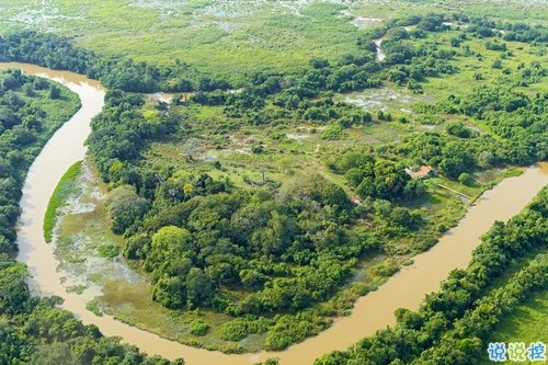 2019豬年勵(lì)志句子致自己 2019早安豬年勵(lì)志語(yǔ)錄大全2