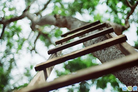 知性女人用的唯美朋友圈說說圖片 剪一段愛的時光永久收藏13