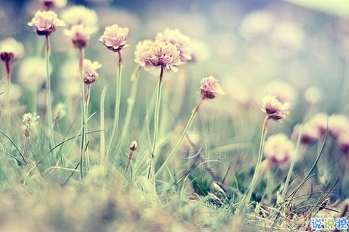 00后暗戀同桌的微信說說帶圖片 寫給暗戀同桌的話12