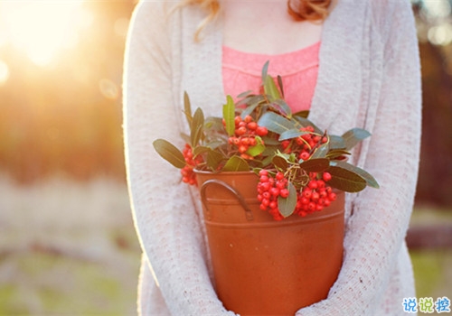 姑娘，我有15句悄悄話說(shuō)給你聽(tīng)。12