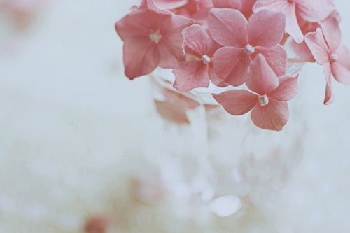 甜甜的適合戀愛(ài)中的男生女生發(fā)的說(shuō)說(shuō)帶圖片13