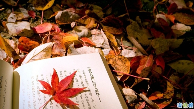 2019婦女節(jié)朋友圈說說大全配圖 溫馨浪漫的38婦女節(jié)說說帶圖片12