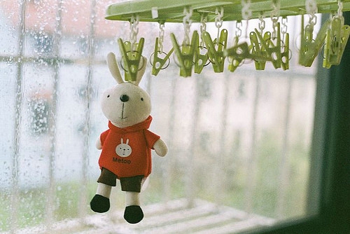 文字控喜歡的溫暖治愈文藝說(shuō)說(shuō)帶圖片 想跌進(jìn)你的懷里把夏天帶給你4