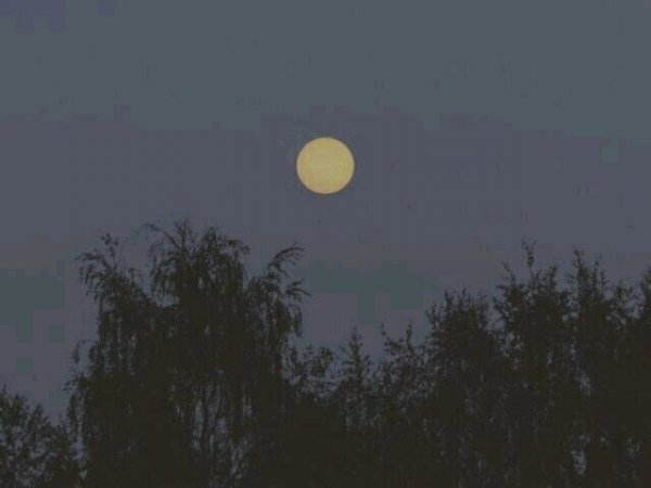 關(guān)于人生和夢想的很現(xiàn)實(shí)的經(jīng)典哲理說說帶圖片8