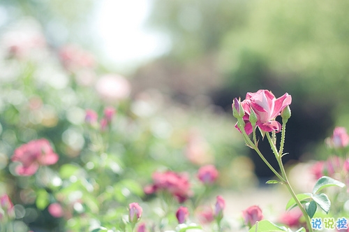 越看越想哭的專(zhuān)屬傷感說(shuō)說(shuō)精選帶圖片 傷了累了倦了不愛(ài)了的男生說(shuō)說(shuō)6