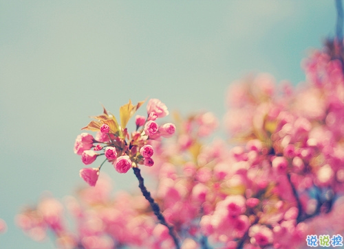 迎接2019的說說滿滿正能量帶圖片 與2018說再見用雙手去擁抱20199