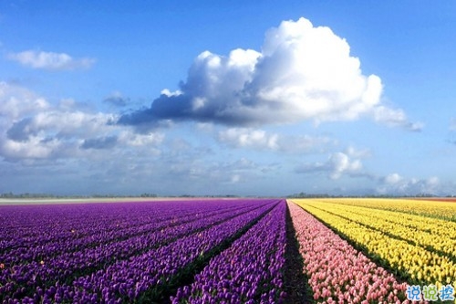 2019女生節(jié)微信說說大全帶圖片 三七女生節(jié)朋友圈祝福語說說9