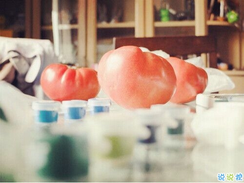 成長(zhǎng)之路上遇到的一些經(jīng)典哲理說(shuō)說(shuō)配圖 很有道理的精辟說(shuō)說(shuō)發(fā)朋友圈10