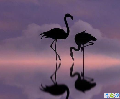 說到心坎的傷感說說帶圖片戳中你的內(nèi)心 失落又心痛發(fā)朋友圈說說精選5