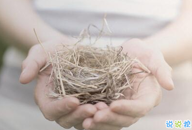 小清新的早安心語帶圖片：最美好的不是未來，是今天12