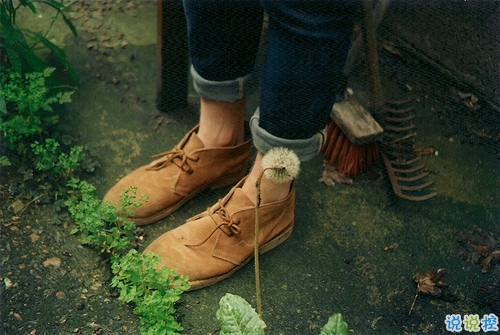 日常愛情說說經(jīng)典有意義帶圖片 我喜歡你來自心臟不是口腔2