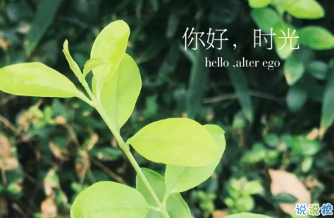 朋友圈微商經(jīng)典語錄加配圖2018 朋友圈微商勵志經(jīng)典語錄帶圖片6