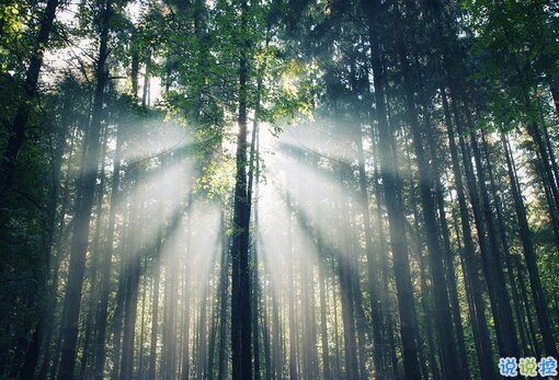 鼓舞我們不斷努力的經(jīng)典勵(lì)志圖片說(shuō)說(shuō) 太勵(lì)志了最經(jīng)典的說(shuō)說(shuō)帶圖片20182