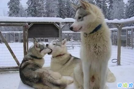 很有內(nèi)涵的搞笑說(shuō)說(shuō)圖片最新版 有意思的內(nèi)涵段子說(shuō)說(shuō)1