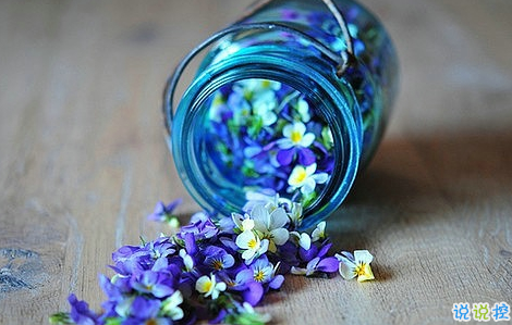 知性女人用的唯美朋友圈說說圖片 剪一段愛的時光永久收藏10