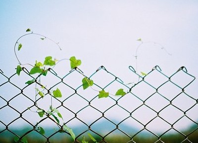 唯美圖片說(shuō)說(shuō)7