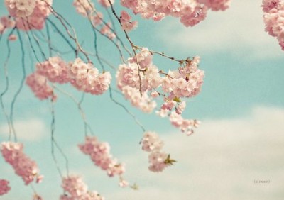 唯美圖片說(shuō)說(shuō)8