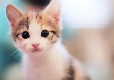 經(jīng)典說(shuō)說(shuō)和圖片5