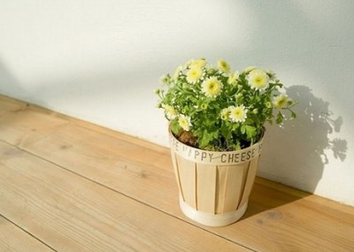 經(jīng)典說(shuō)說(shuō)和圖片7