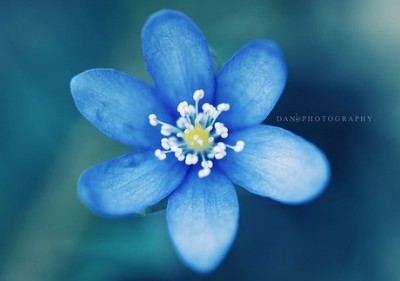 經(jīng)典說(shuō)說(shuō)和圖片4