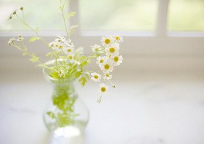 心情說(shuō)說(shuō)帶圖片2