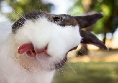 心情說(shuō)說(shuō)帶圖片4