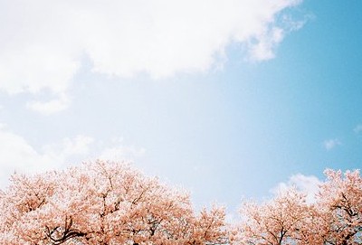 最新說說帶圖片4